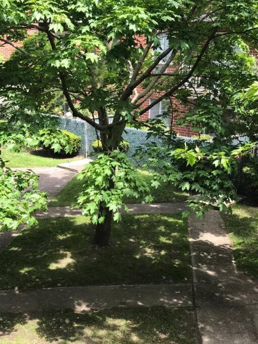 Brooklyn Luxury Spring Retreat With Private Outdoor Space Нью-Йорк Екстер'єр фото